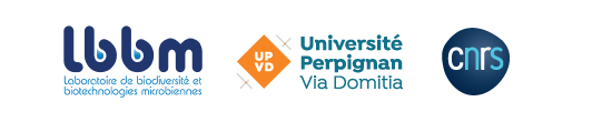 logo-LBBM